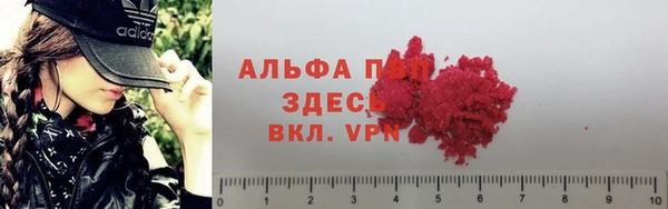 2c-b Вяземский