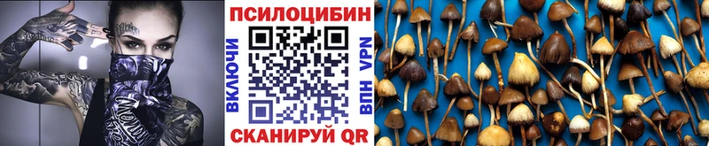 Купить где  Выборг  Галлюциногенные грибы MAGIC MUSHROOMS 